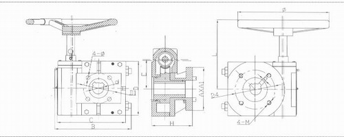 Separate worm gear box structure diagram